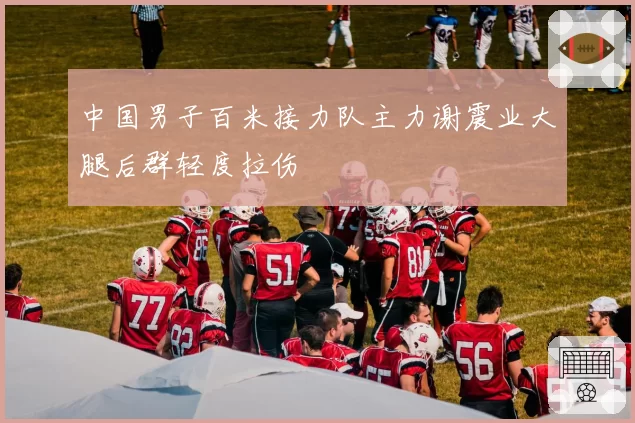 中国男子百米接力队主力谢震业大腿后群轻度拉伤