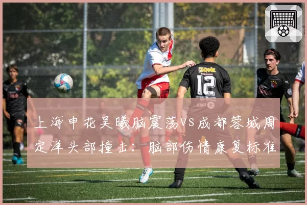 上海申花吴曦脑震荡vs成都蓉城周定洋头部撞击:脑部伤情康复标准差异