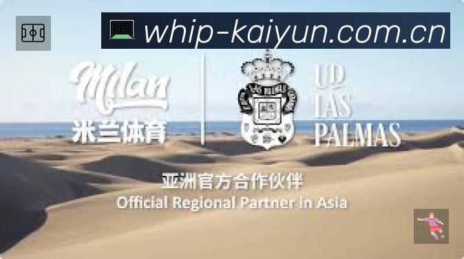 开云App预览